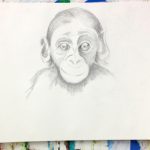 der Affe in dir MoMa-Projekt im fraplab.de