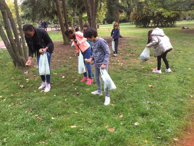 Naturmaterial sammeln für die Basteleien